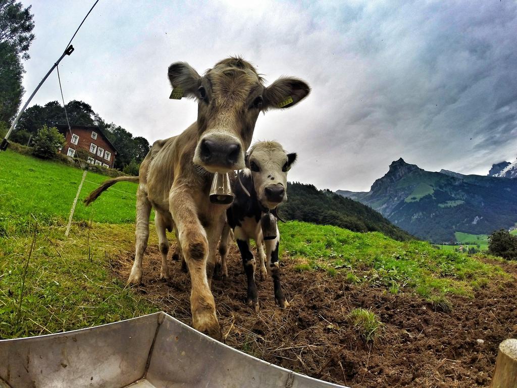 Hotel Engelberg "Mein Trail Hotel" エクステリア 写真
