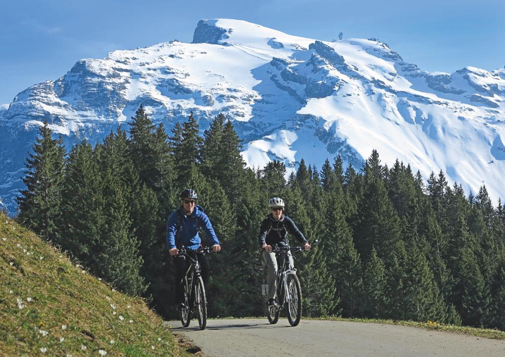 Hotel Engelberg "Mein Trail Hotel" エクステリア 写真